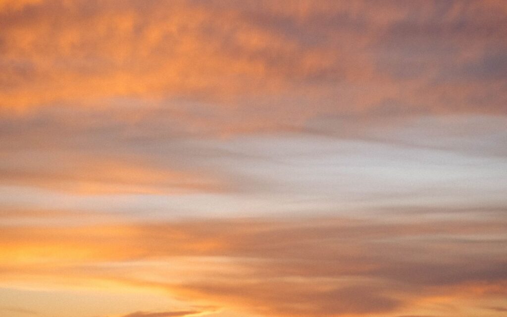 情緒的な日本語